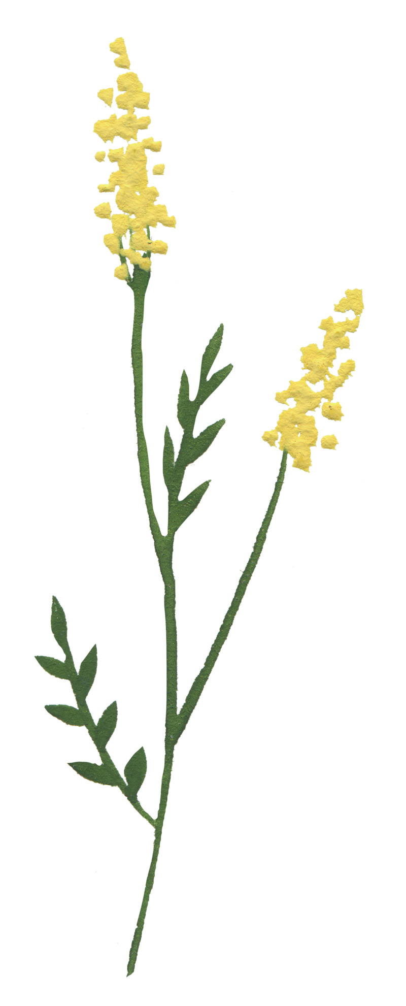 手绘鲜花植物高清PNG素材，油画质感纹理，动植物元素设计图下载