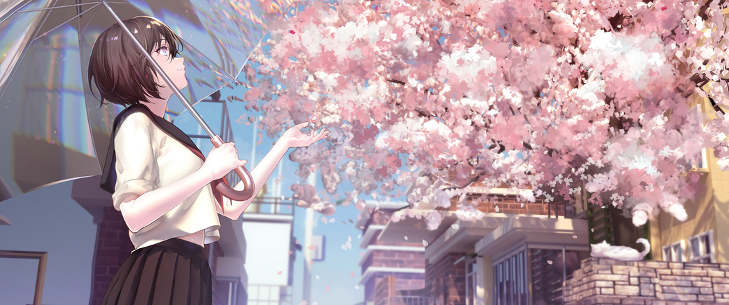 樱花女生撑伞动漫3440x1440带鱼屏高清壁纸下载