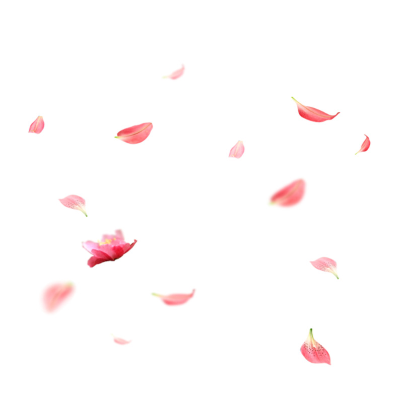 高清PNG透明漂浮花瓣设计素材下载