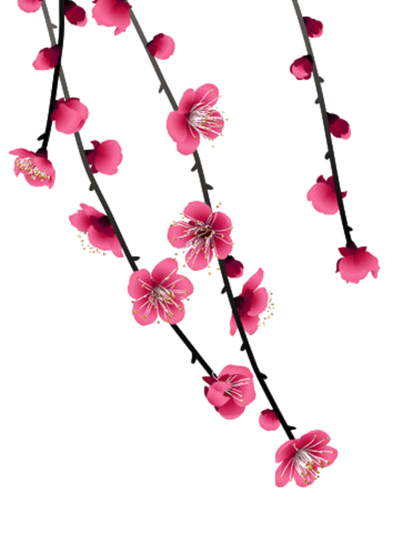 高清桃花PNG透明漂浮花瓣设计素材下载
