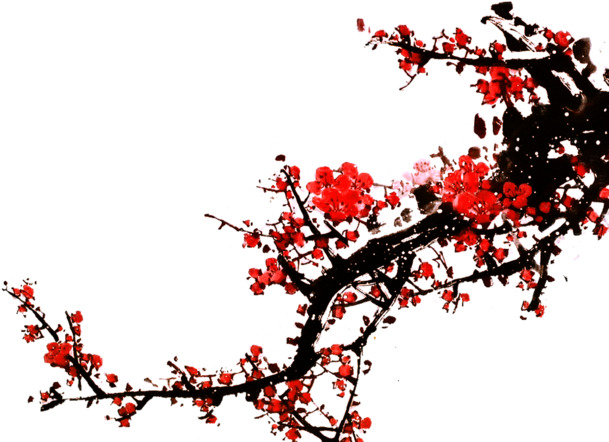 端午节红色梅花树枝高清PNG透明图片素材下载