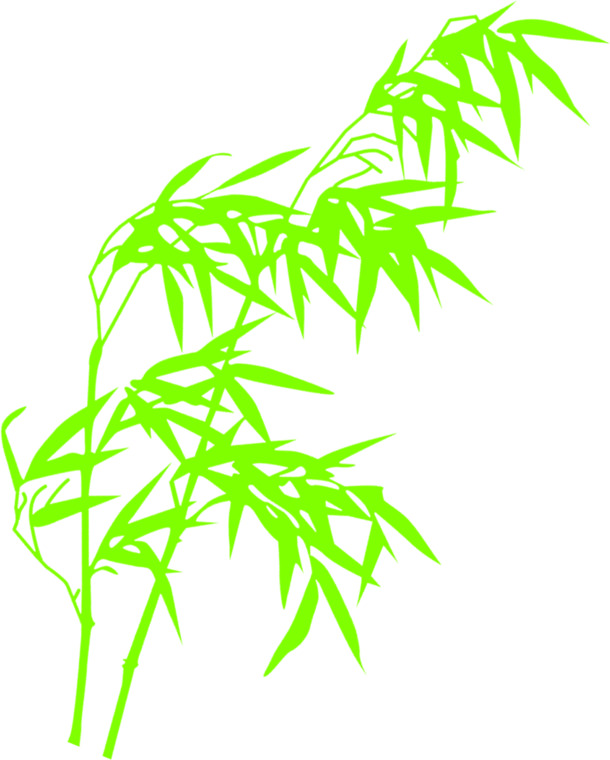 端午节清新竹叶竹林手绘PNG透明图片素材下载
