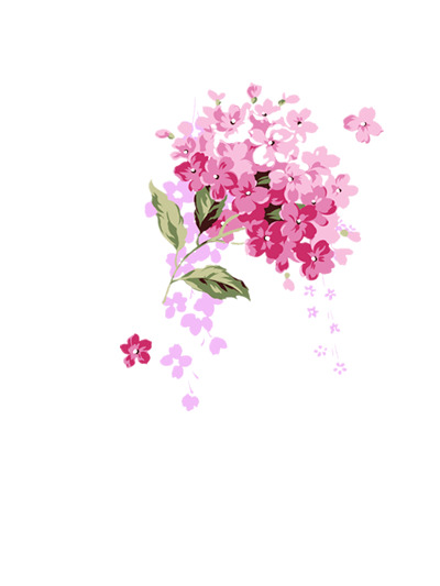 手绘透明小红花高清PNG素材，花瓣漂浮元素设计图免费下载
