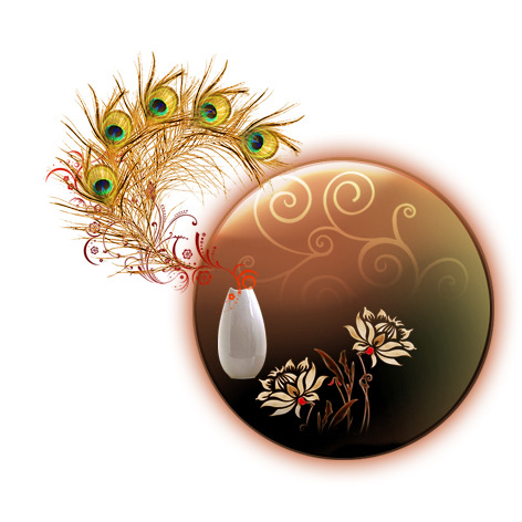 凤凰羽毛PNG透明高清图片，动物装饰元素设计素材下载