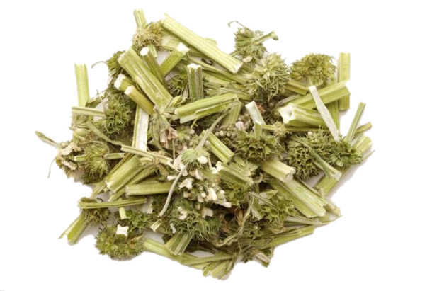 益母草干草片高清PNG透明素材，植物装饰元素图片免费下载