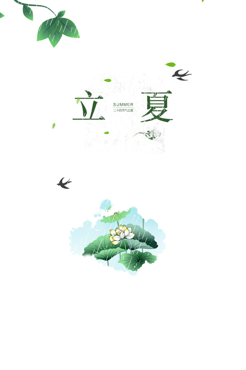 立夏元素手绘卡通PNG透明图片下载，燕子、树叶、荷花与雨滴PSD素材