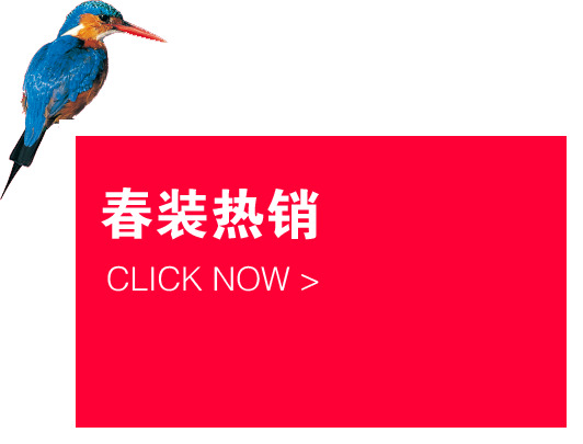 劳动节设计素材，小鸟吃鱼高清PNG透明图片，节日元素下载