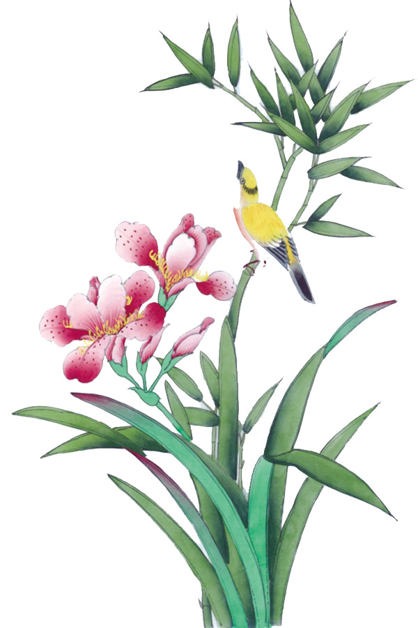 花鸟工笔画PNG透明装饰元素素材，高清植物图片设计资源下载