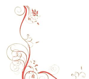 高清PNG透明花朵插图，PPT装饰元素设计素材下载