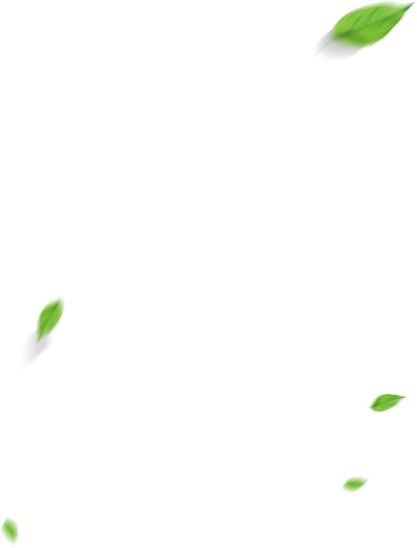 高清漂浮树叶PNG透明图片素材下载
