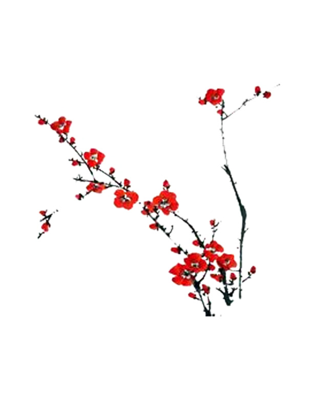 高清梅花PNG透明装饰元素，墨迹笔触设计素材下载