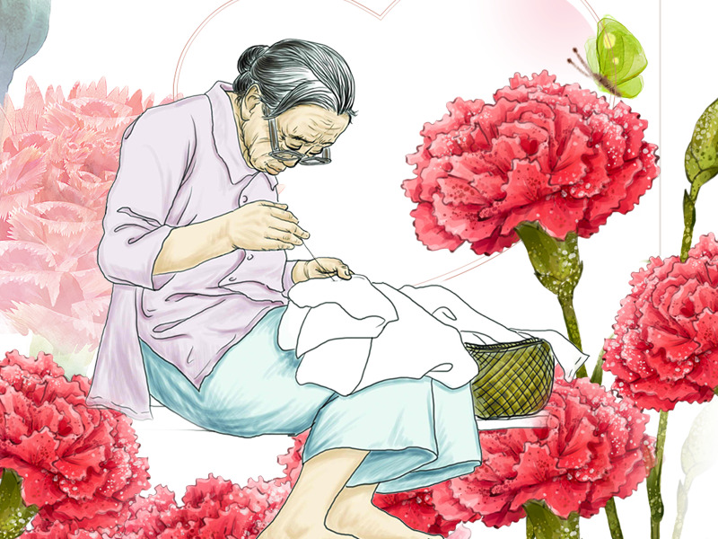母亲节高清PNG康乃馨花朵透明图片素材，节日元素及更多节日设计下载