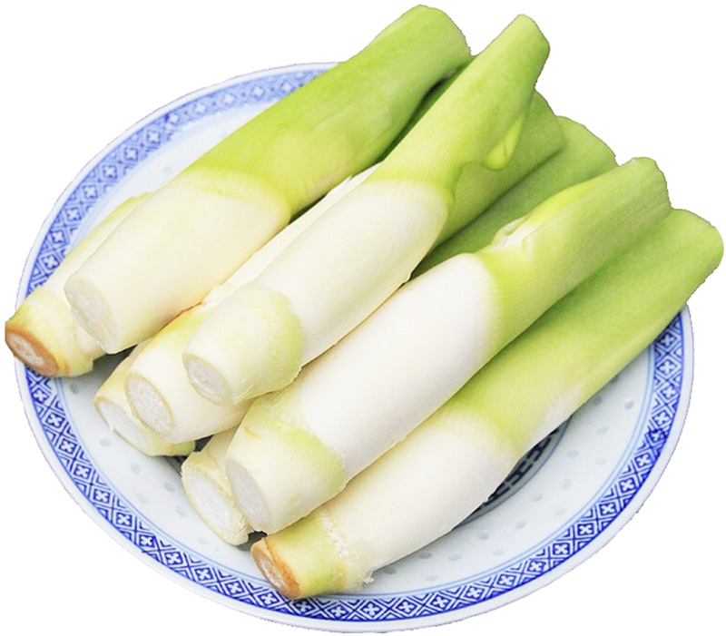 茭白茭瓜高清PNG图片素材，动植物元素植物设计下载