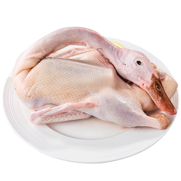 高清透明PNG新鲜鸭肉图片素材，下载用于生活用品装饰元素设计