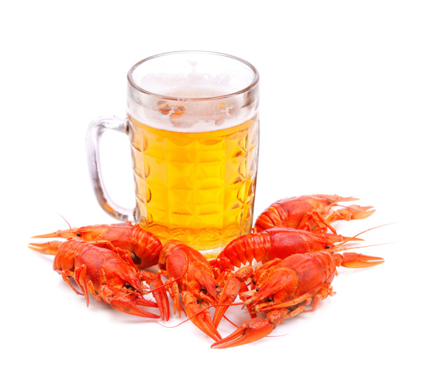 高清PNG透明图片，啤酒小龙虾与动物装饰元素设计素材下载