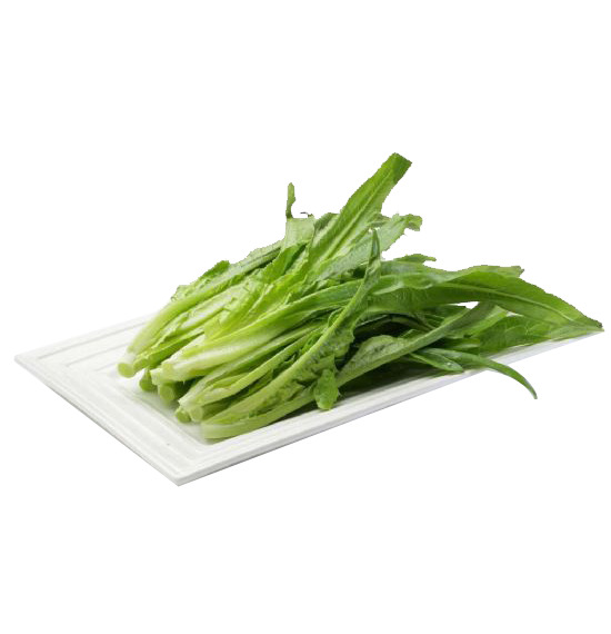 高清油麦菜PNG透明图片素材，动植物元素植物设计下载