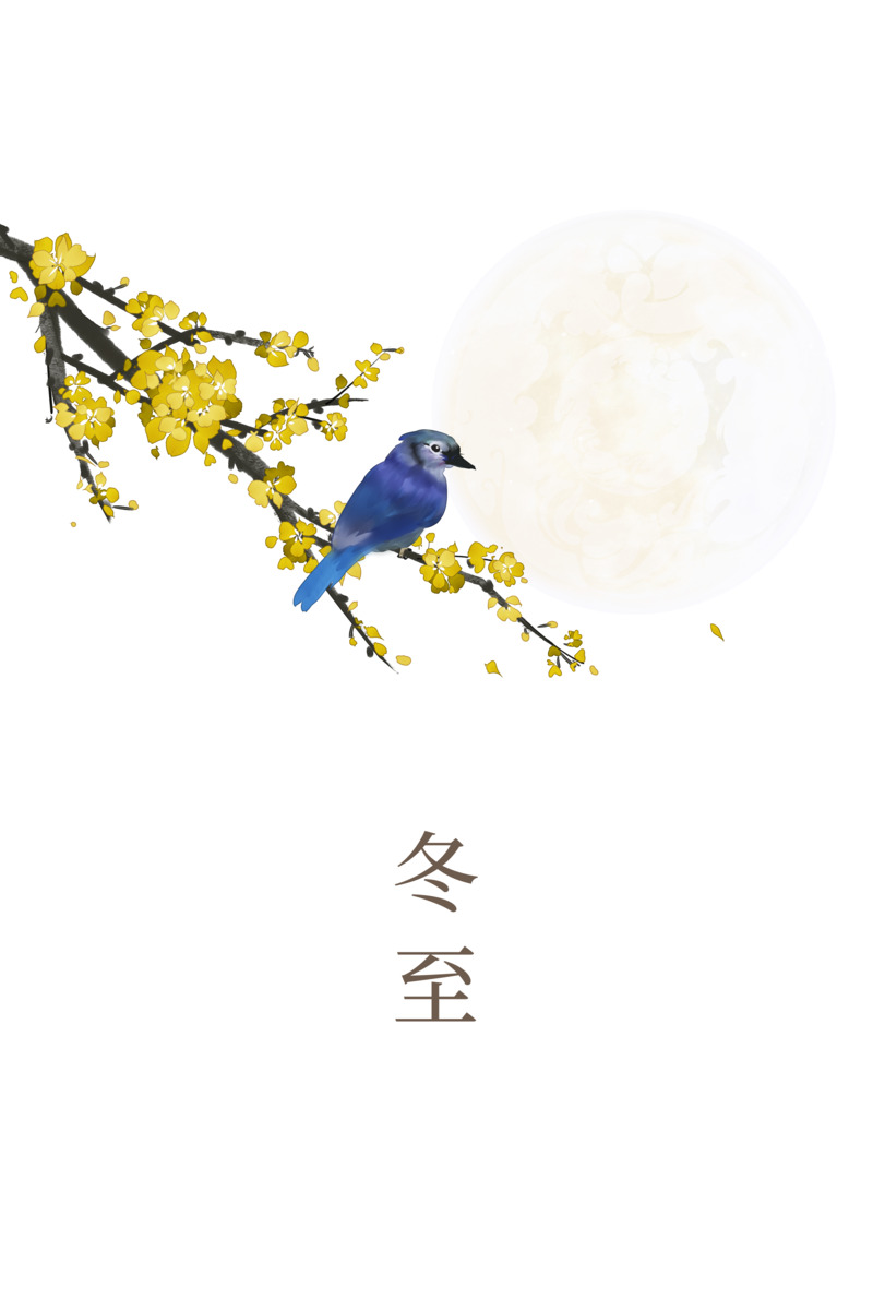 冬至花鸟高清PNG透明装饰元素，手绘卡通PSD设计素材下载