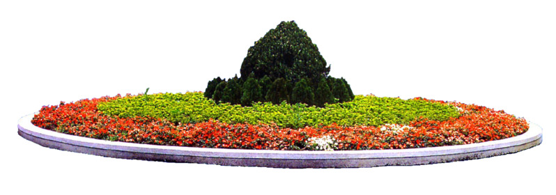 高清景观花坛PNG素材，动植物元素透明图片下载