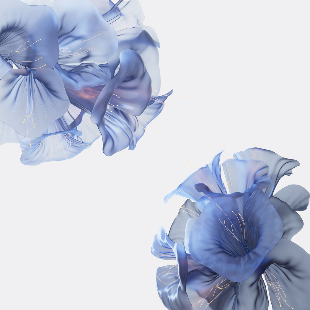 华为Mate Book Fold，4K高清花朵艺术壁纸（4120x4120）免费下载