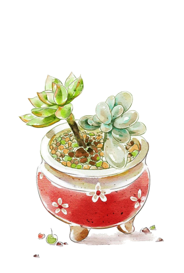 手绘高清PNG透明植物装饰元素设计素材下载