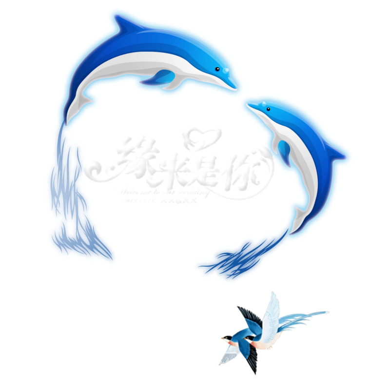 情人节高清PNG透明海豚素材，节日元素图片设计下载