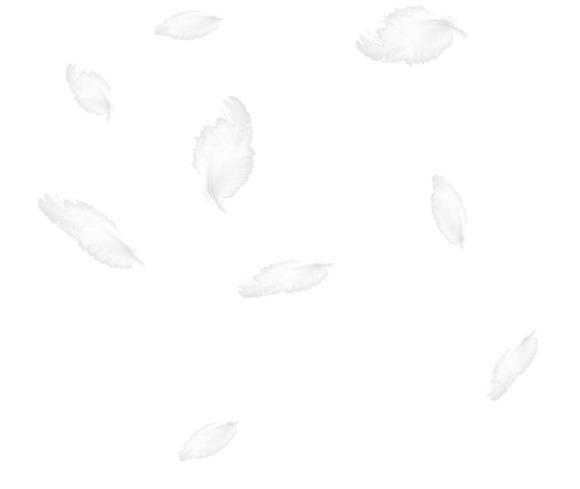 高清PNG透明羽毛背景图片素材，漂浮元素下载