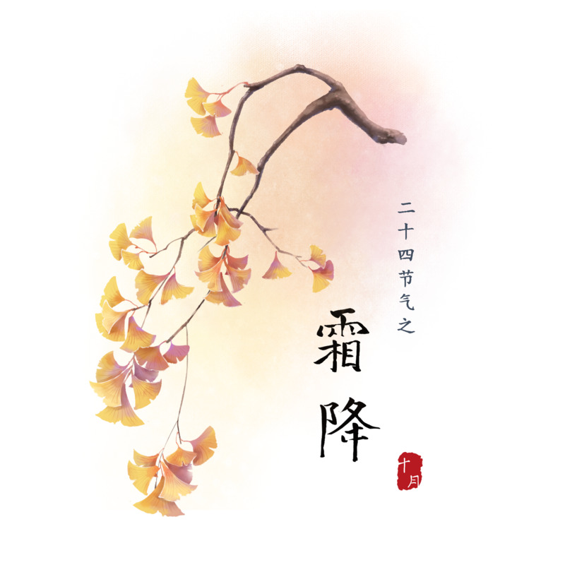 中国风水彩霜降银杏高清PNG图片，节日元素设计素材下载