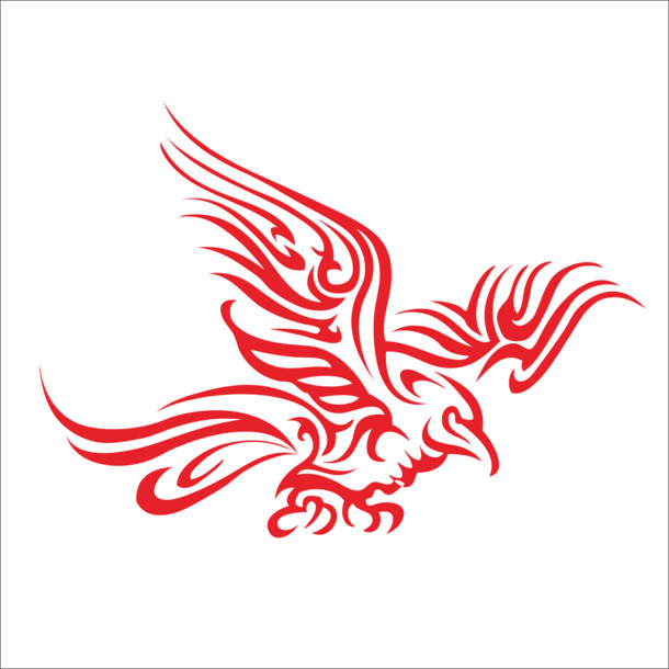 高清PNG透明图案鹰装饰元素，动物设计素材下载