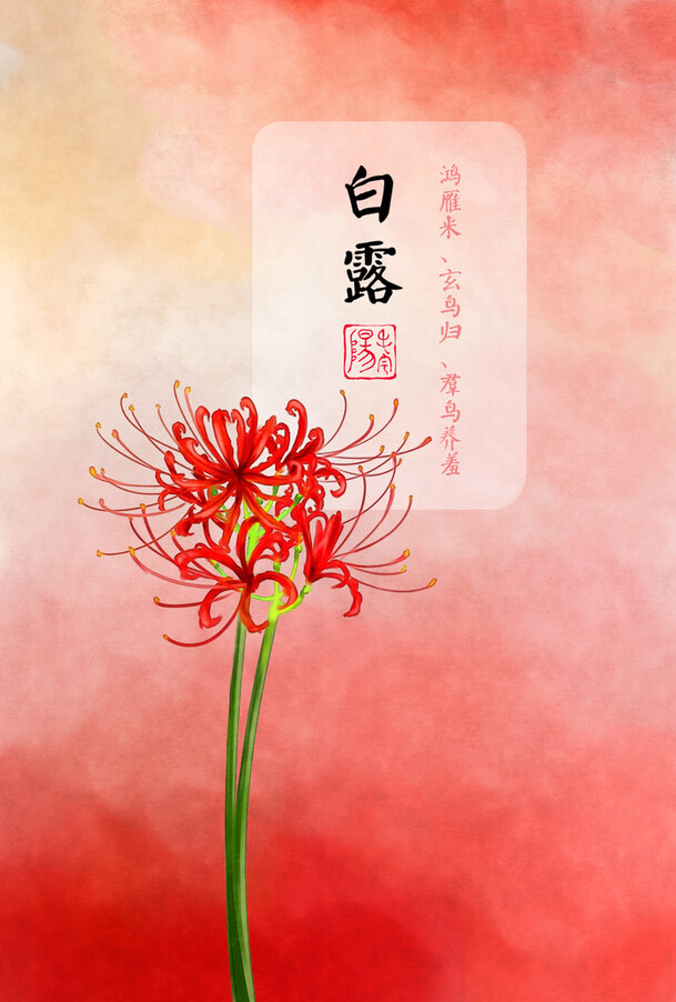 白露节气红色花朵卡通手绘PNG透明背景图片素材下载