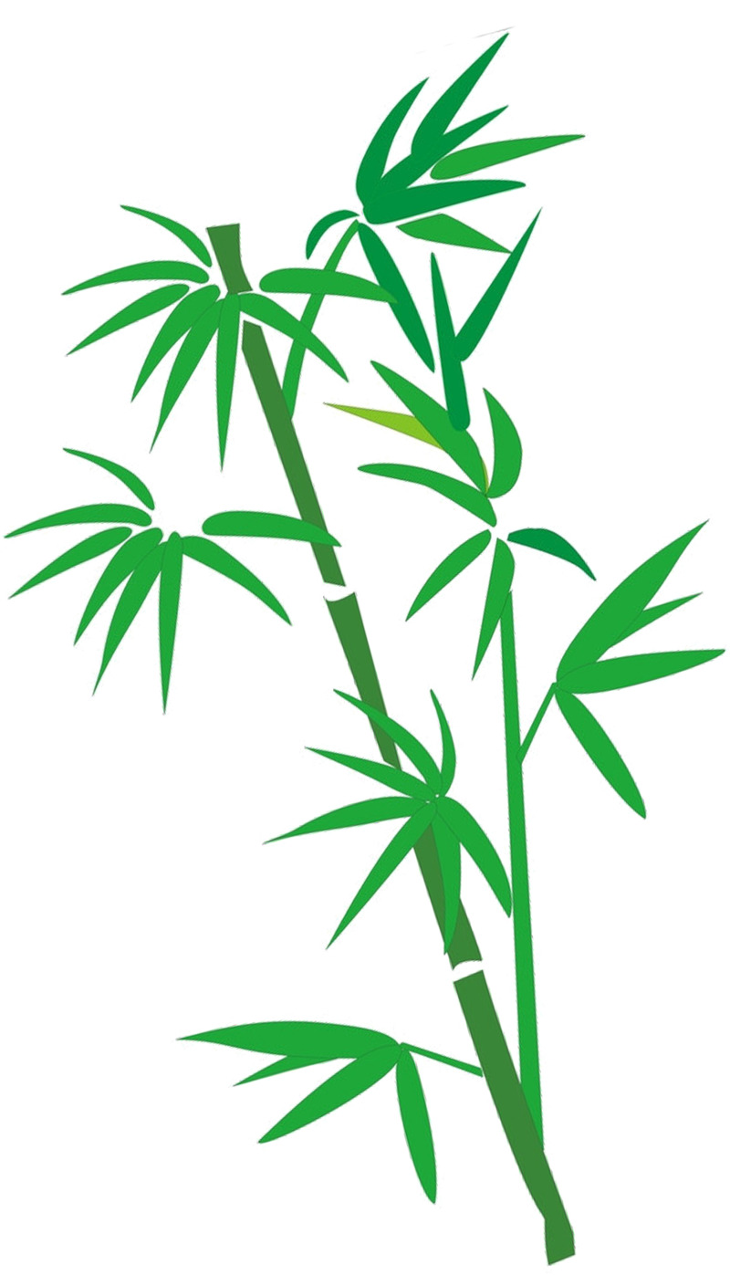 高清手绘竹叶PNG透明图片，植物装饰元素设计素材下载