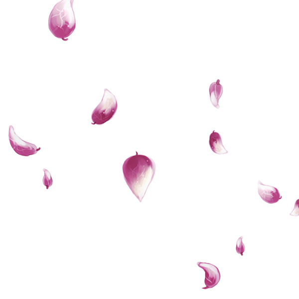 高清PNG透明撒花庆祝元素，花瓣漂浮图片设计素材下载