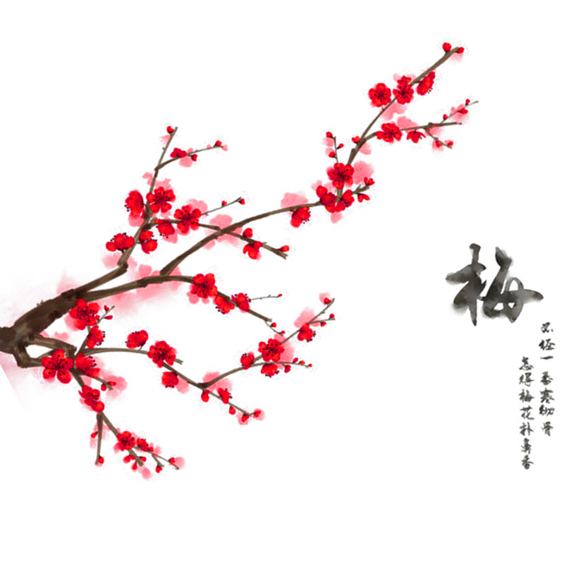 高清PNG梅花树枝装饰元素，透明背景PSD设计素材下载