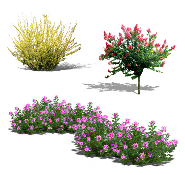 花丛花园景高清PNG图片，花树动植物元素设计素材下载