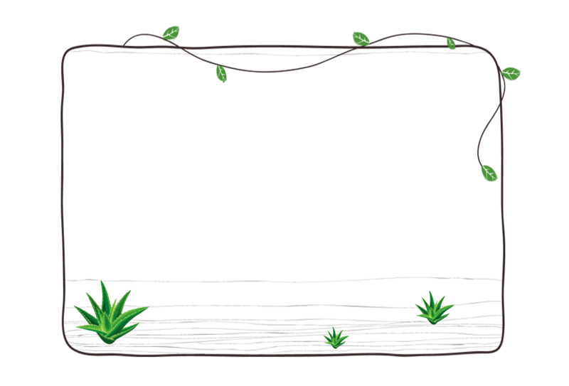 花卉植物边框PNG透明图片素材，高清装饰元素下载