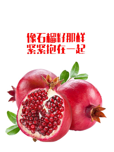 石榴籽团结风格高清PNG透明植物装饰素材下载
