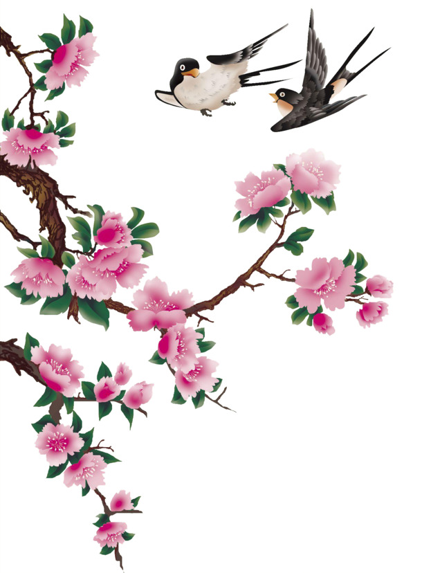 中国风喜鹊插画工笔画高清PNG素材下载