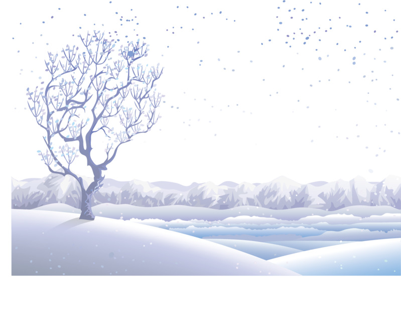 高清PNG透明雪景素材，冬天厚雪与植物装饰元素设计下载