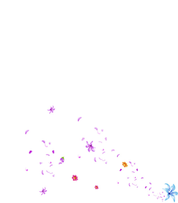 高清PNG透明飘散花瓣设计素材，粉紫黄蓝小花元素下载