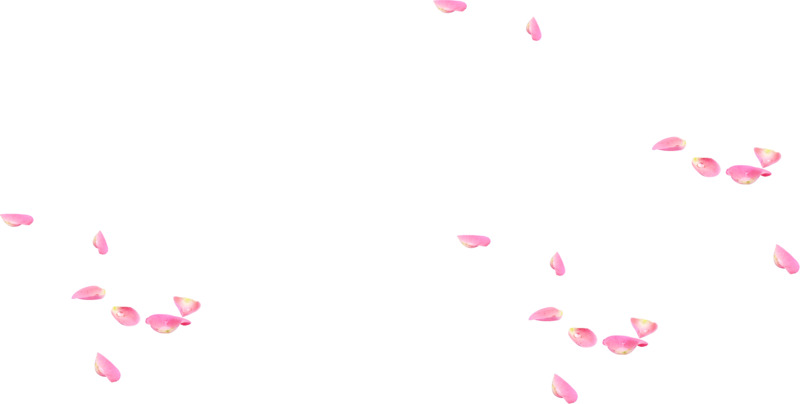 唯美花瓣飘落PNG透明图片素材，高清漂浮元素设计下载