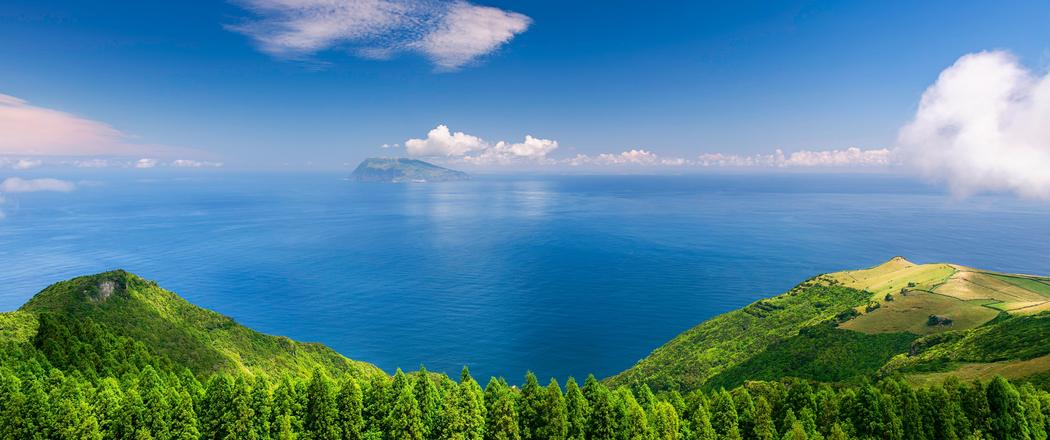 4K高清海景岛屿海岸树林壁纸，3440x1440带鱼屏专属下载