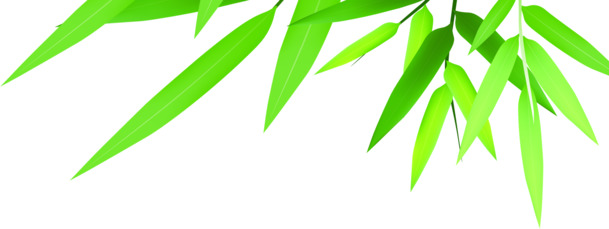 竹叶绿叶端午节点缀