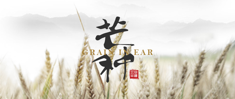 水墨风芒种节日元素高清PNG透明首图及PSD设计素材下载