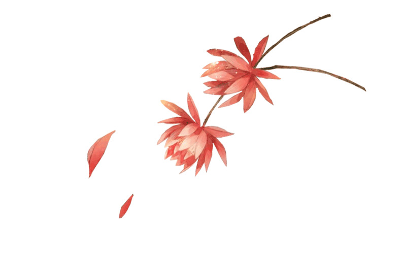 高清手绘橙色花朵与叶子PNG透明图片素材下载