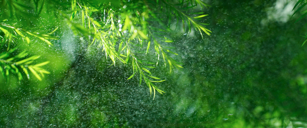 护眼高清4K风景壁纸，清凉绿叶水花，带鱼屏3440x1440分辨率下载