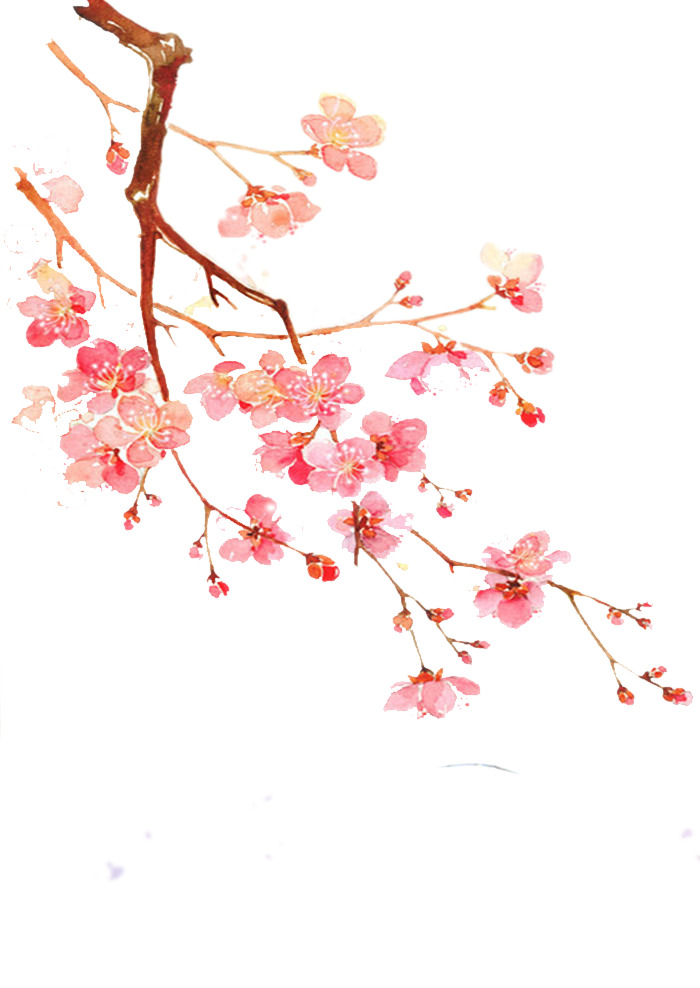 中国风粉色花瓣花枝高清PNG透明装饰元素素材下载