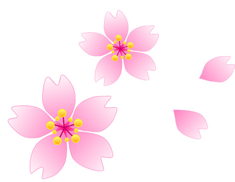 高清卡通粉红花蕊PNG透明漂浮元素花瓣设计素材下载