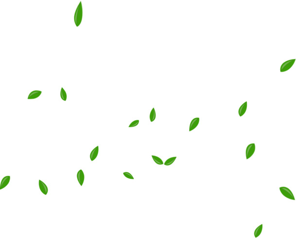 端午节卡通绿叶漂浮PNG图片素材高清透明下载
