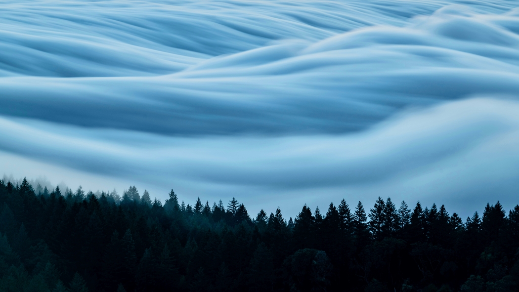 森林云海绝美风景，7K/4K高清壁纸下载（7994x4496）