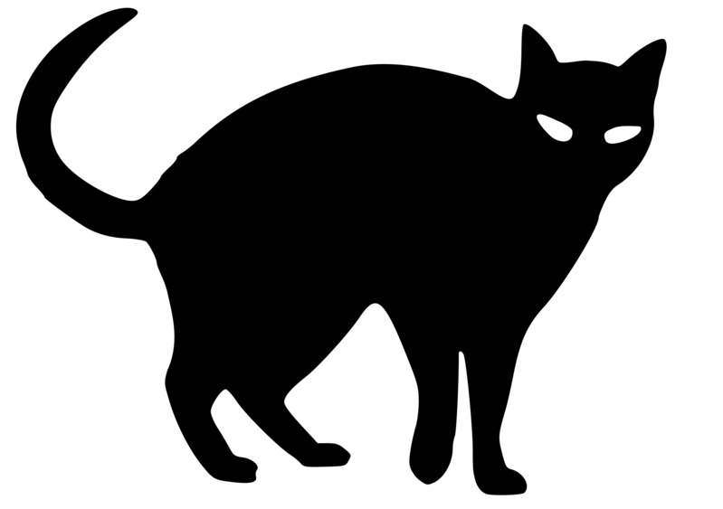 万圣节黑色小猫高清PNG透明图片素材，节日元素下载