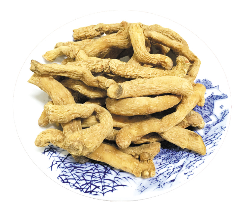 高清透明PNG玉竹（无磺）药材滋补养生动植物设计素材下载